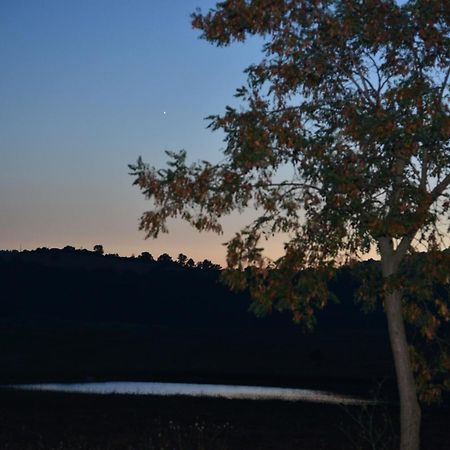 Agriturismo Podere Micitto Usi Ruang foto