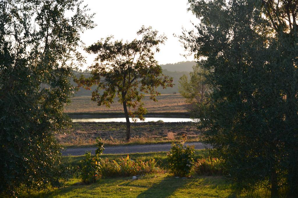 Agriturismo Podere Micitto Usi Ruang foto
