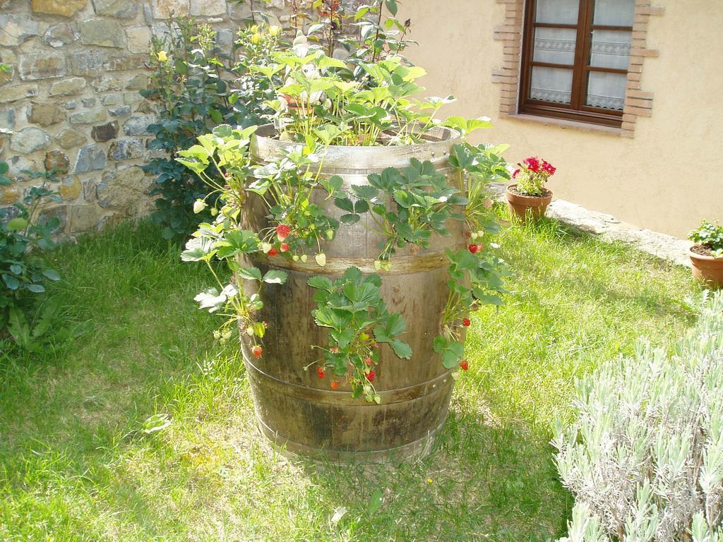 Agriturismo Podere Micitto Usi Bagian luar foto