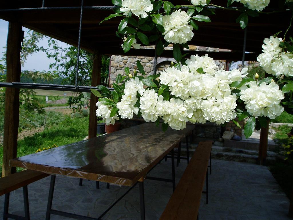 Agriturismo Podere Micitto Usi Bagian luar foto
