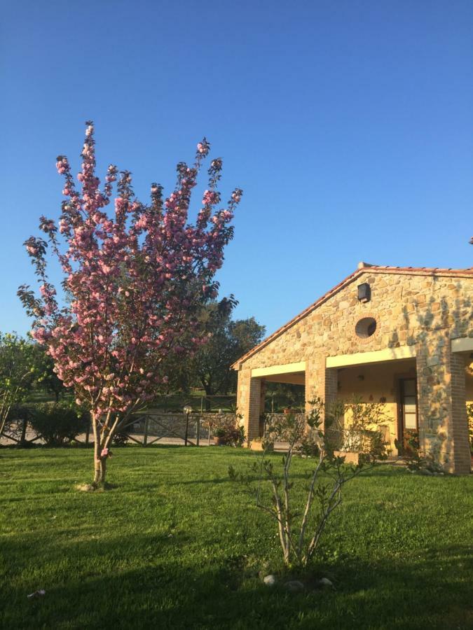 Agriturismo Podere Micitto Usi Bagian luar foto